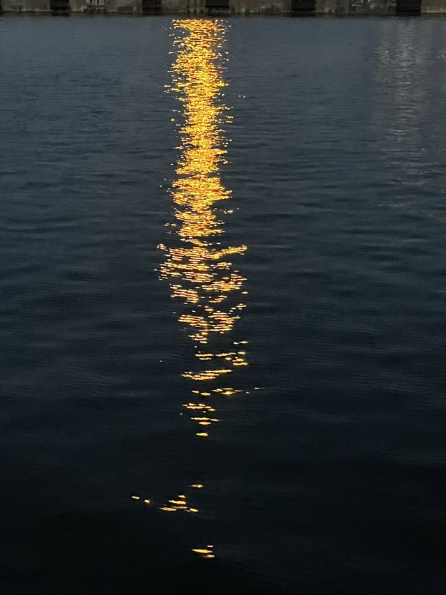 우리가 사랑하는 부산, 광안리 요트투어🛥️