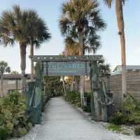 Alligator Tail at The Conch 