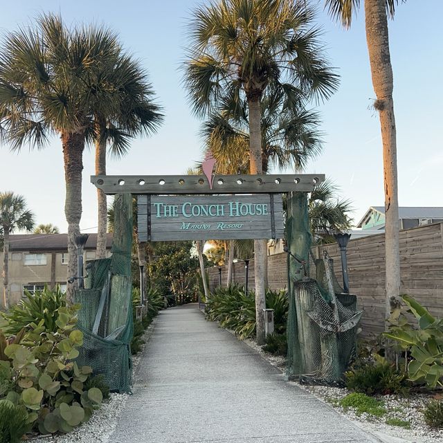 Alligator Tail at The Conch 