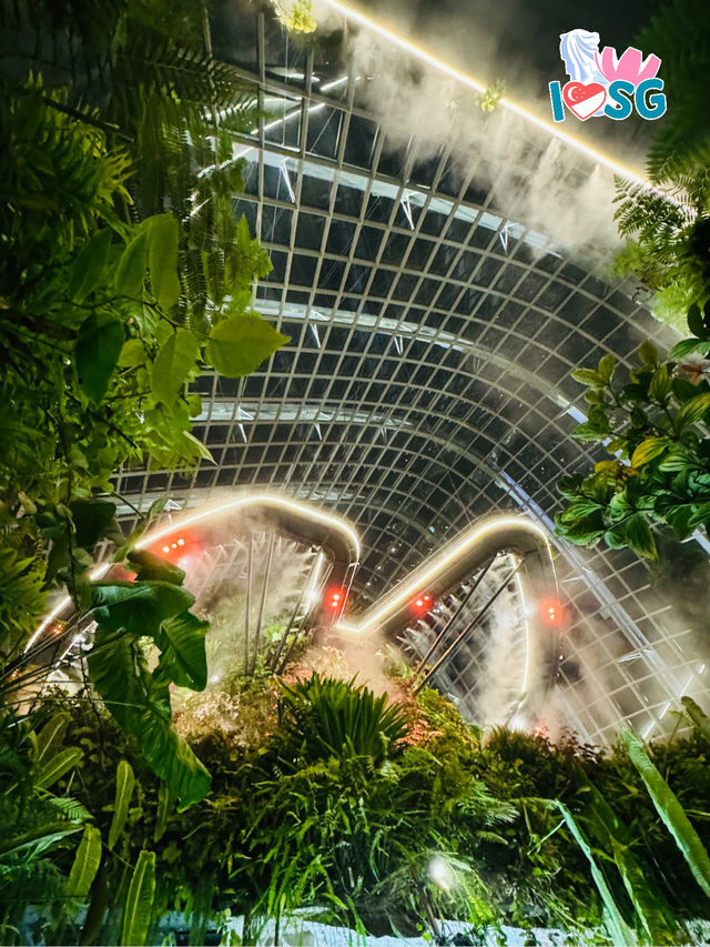 🇸🇬 A date at the Heart-shaped suspended sky walk