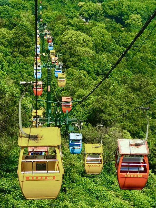 夏日綠影——無錫錫惠索道山間之旅