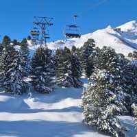 🇨🇭瑞士雪場推薦！新手/高手/進階/雪橇🏂🎿