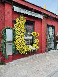 An Evening Stroll Around 798 Art Zone