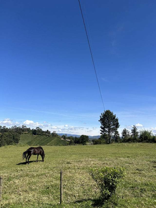 コロンビア🇨🇴 色にあふれる絶景の街【グアタペ】🎨