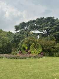 Shanghai Zoo: A Green Escape in the City