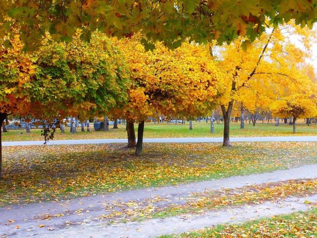 Beautiful autumn scene at Park Kyoto 🗺️