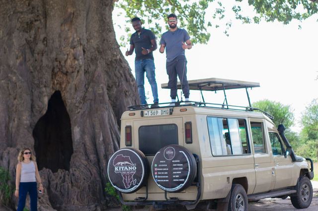 3 days Tanzania sharing safari 