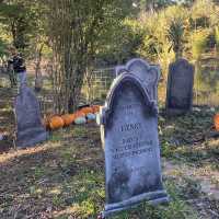 Pumpkin Marshmallow Mania: A Sweet Fall Festival