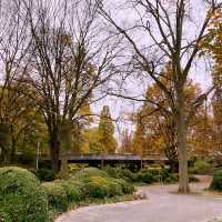 도시속에 오아시스 Luisenpark