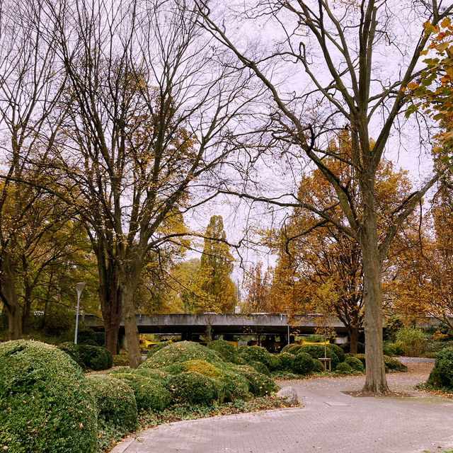 도시속에 오아시스 Luisenpark