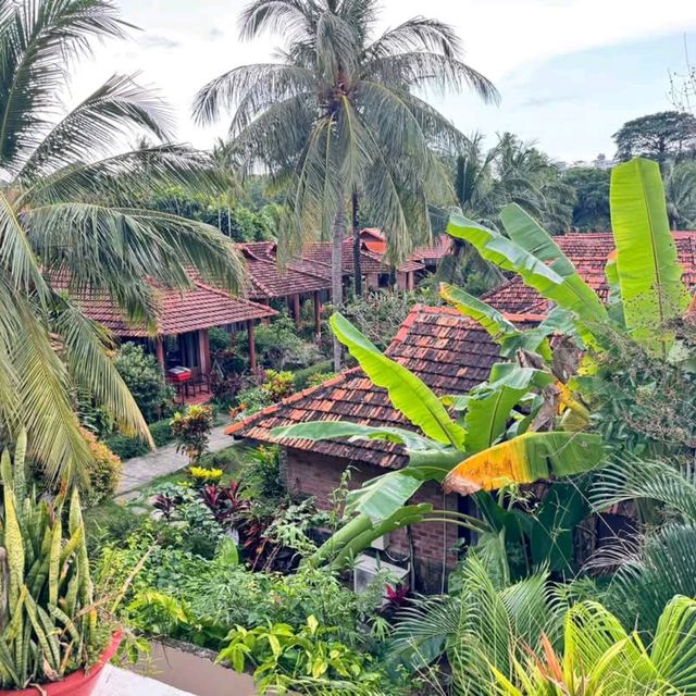 Cassia Cottage