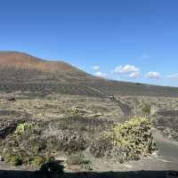 Lanzarote camel ride