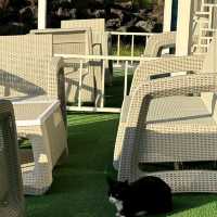 Sun and Moon Resort (Seogwipo)