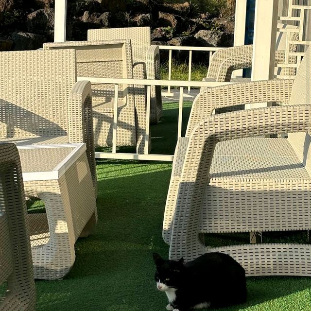 Sun and Moon Resort (Seogwipo)