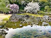 白鳥庭園