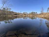 Around the tarn 