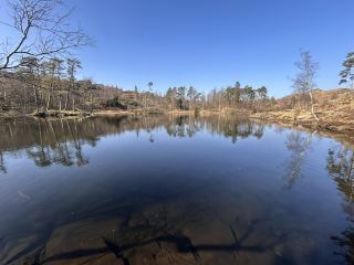 Around the tarn 