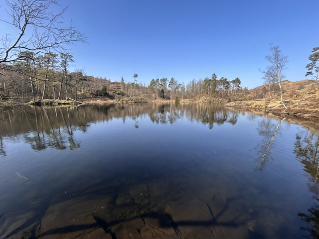 Around the tarn 