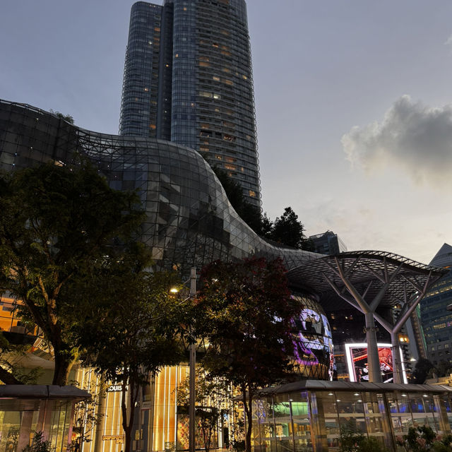How I spent 1 day in Singapore