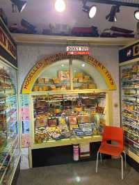 Brighton toy and model Museum 🏙️