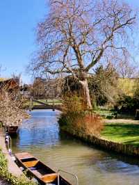 Cambridge by the River: A Scenic Adventure 🌿🚣‍♂️