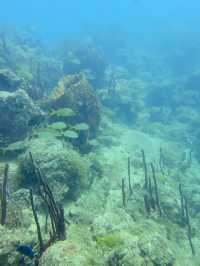 Full diving guide @Bayahibe 🇩🇴