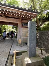 Spring Serenity at Hokoku-ji