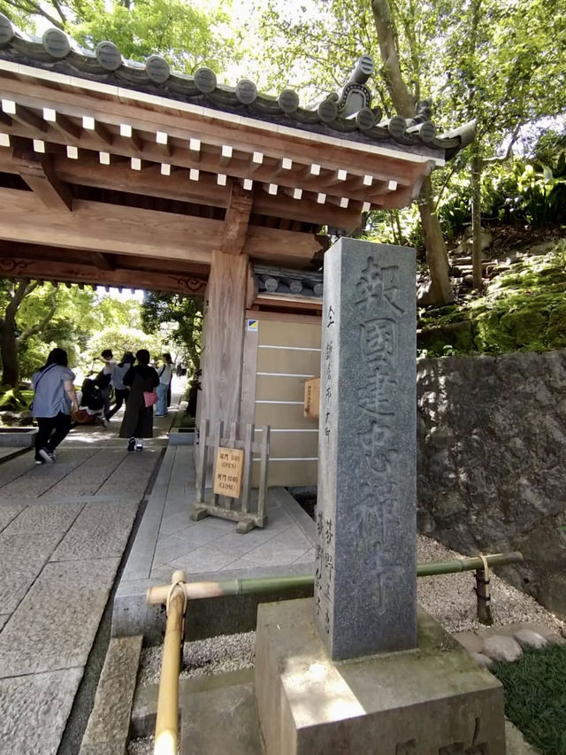 Spring Serenity at Hokoku-ji