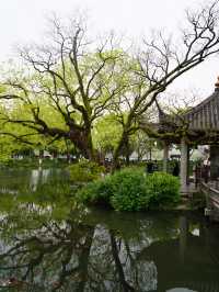 Hangzhou West Lake Day! 🌸🌸🌸
