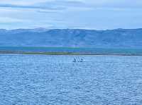 Wildlife + Wide-Open Patagonian Vibes
