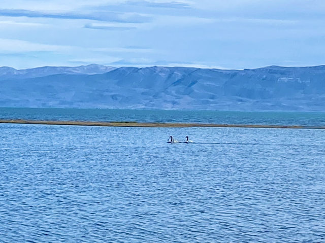 Wildlife + Wide-Open Patagonian Vibes