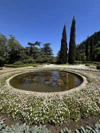 Chill time at Tbilisi botanical garden 