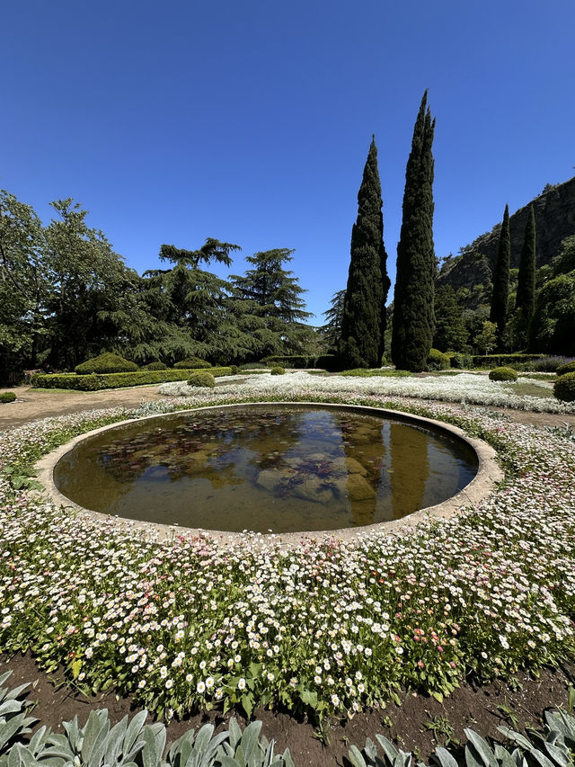 Chill time at Tbilisi botanical garden 