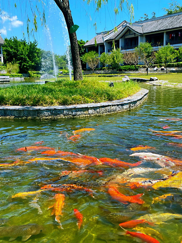 Banyan Tree Yangshuo – Moonlit BBQs, Mountain Views & Memories for a Lifetime