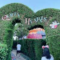 Budget Summer Trip to Disneyland Paris! 🇫🇷💸