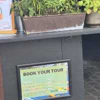 Want to travel to Copenhagen but on a tight budget? 