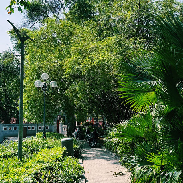 🎒🇻🇳 Backpacker Essentials for Vietnam