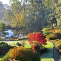 🌿 Botanic Garden of Brittany: A Peaceful Green Escape 🇫🇷✨