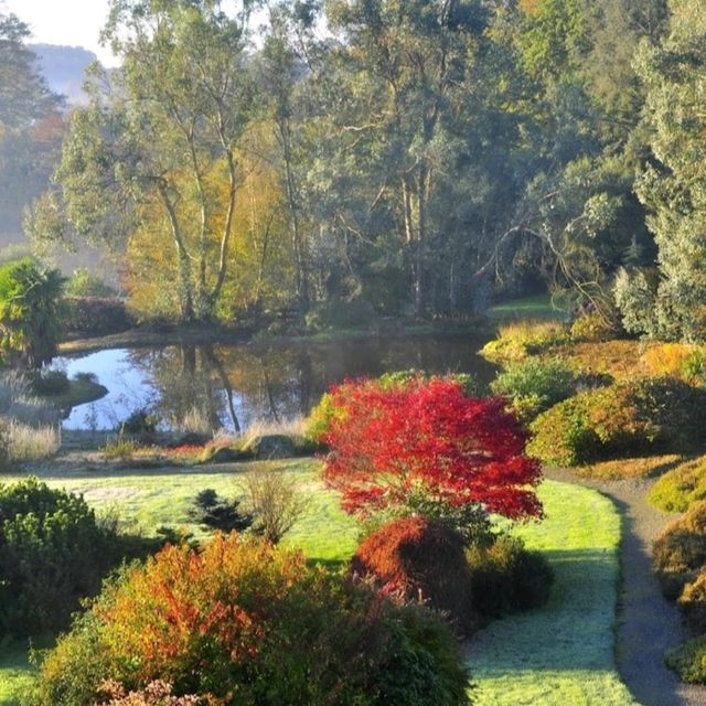 🌿 Botanic Garden of Brittany: A Peaceful Green Escape 🇫🇷✨