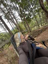 🏔️ Datanla New Alpine Coaster: When Mountains Whisper 'Slide Down' With Wind