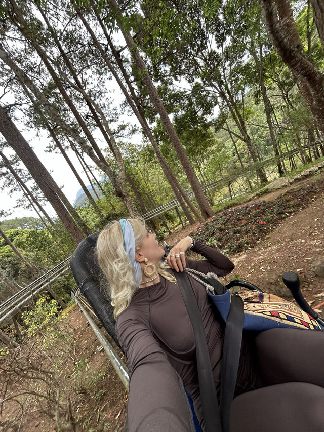 🏔️ Datanla New Alpine Coaster: When Mountains Whisper 'Slide Down' With Wind