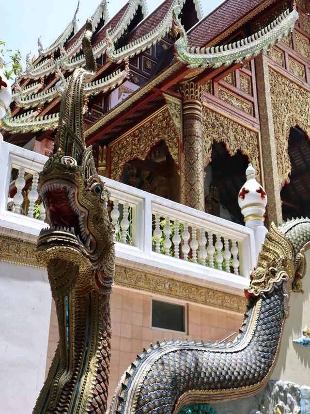 Thailand's Beauty in the North! 🇹🇭