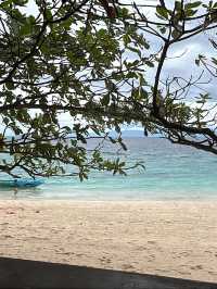 🏝️ 5 Days in Cebu: Whale Sharks, Island Hopping & Epic Snorkeling 🐢🌊🇵🇭