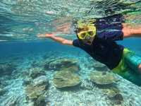Scuba Diving in the Maldives: Why It’s the Perfect Destination and How to Plan Your Trip
