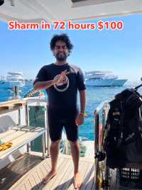 Budget Diving Escape in Sharm – All in for $100!