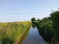 Magor Marsh and the Caldicot Levels 