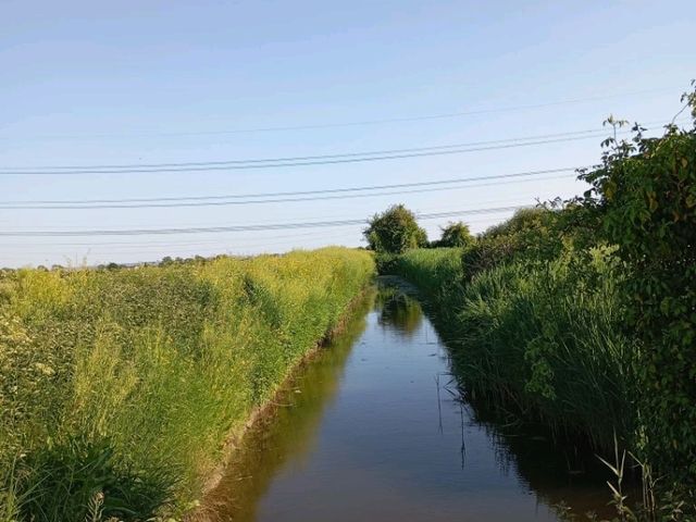 Magor Marsh and the Caldicot Levels 