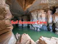 Amazing visit to Ethiopian Tourist areas 