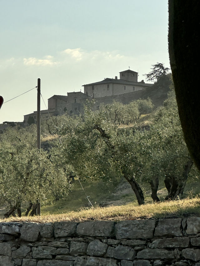Discover the Italian vineyards of Rada in Chianti!