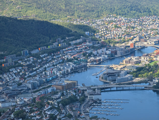  Bergen Was a Dream! Fjords, Festivals & Unforgettable Views! 🇳🇴
